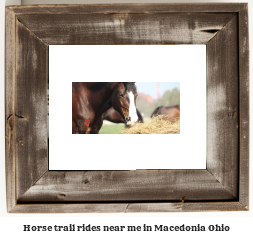 horse trail rides near me in Macedonia, Ohio